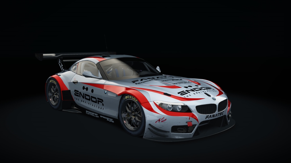 BMW Z4 GT3, skin fanatec