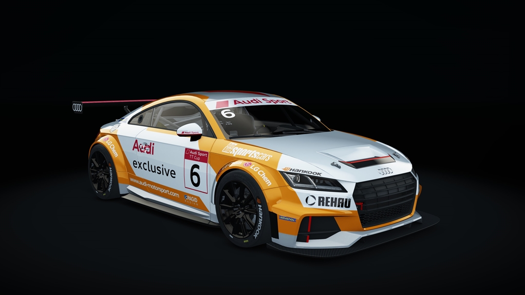 Audi TT Cup, skin 04_racing_06