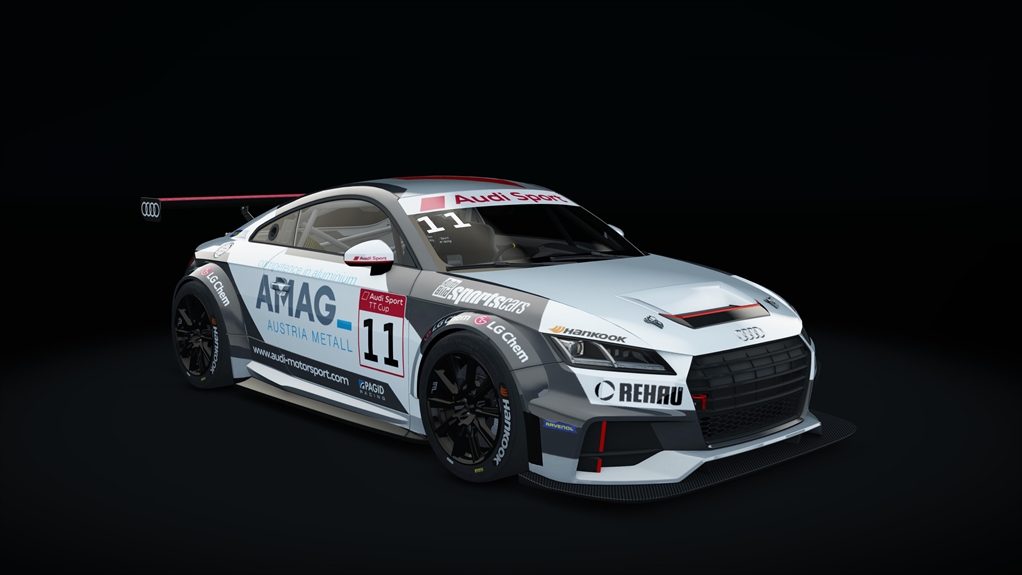 Audi TT Cup, skin 06_racing_11