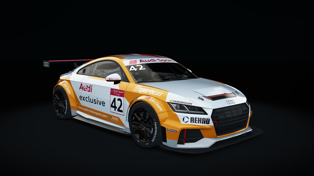 Audi TT Cup, skin 13_racing_42