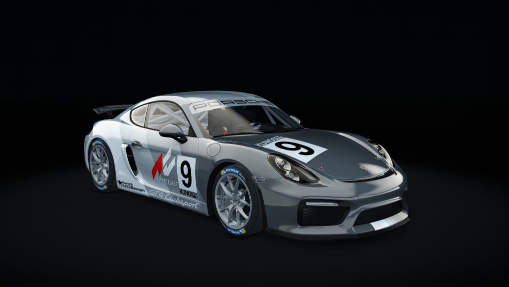 Porsche Cayman GT4 Clubsport, skin 09_cup_09