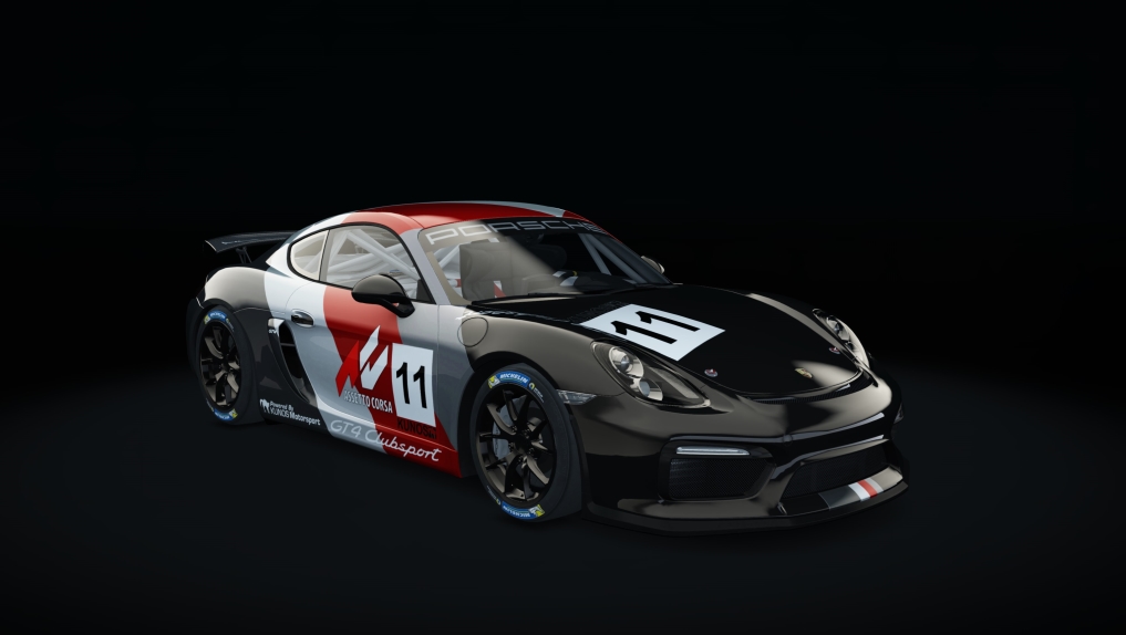 Porsche Cayman GT4 Clubsport, skin 11_cup_11