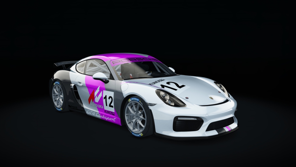 Porsche Cayman GT4 Clubsport, skin 12_cup_12